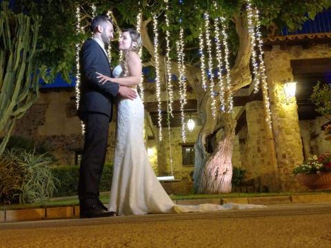 PALMA LUMINOSA LUCI PENDENTI Luminarie Matrimonio
