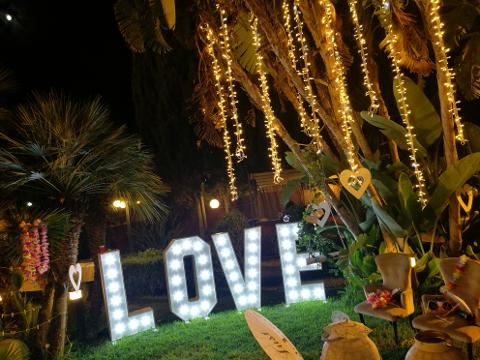 PALMA LUMINOSA LUCI PENDENTI Luminarie Matrimonio