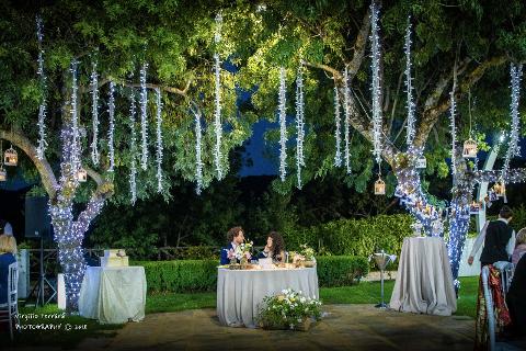 PALMA LUMINOSA LUCI PENDENTI Luminarie Matrimonio