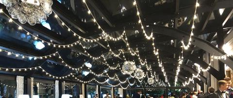 CIELO STELLATO MISTO - MICROLUCI E VINTAGE Luminarie Matrimonio