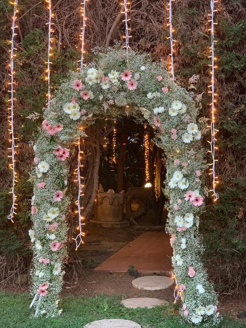 PALMA LUMINOSA LUCI PENDENTI Luminarie Matrimonio