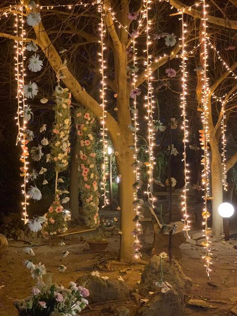 PALMA LUMINOSA LUCI PENDENTI Luminarie Matrimonio