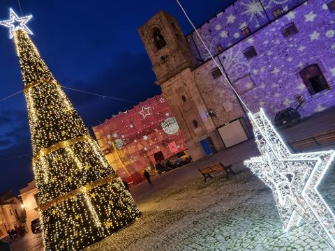 ALBERO CON CARPET VERDE E STELLE 12Mt Luminarie Natalizie per Piazze