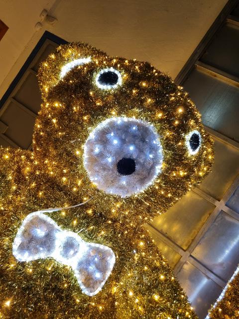 ORSO SELFIE Luminarie Natalizie per Piazze