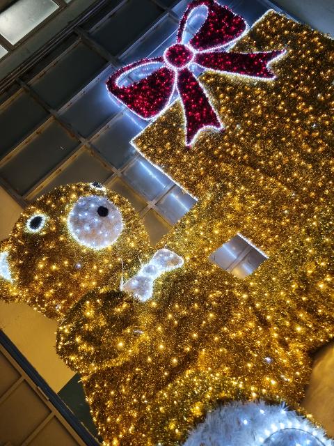 ORSO SELFIE Luminarie Natalizie per Piazze