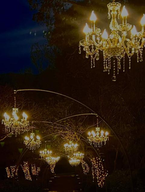 LAMPADARI CRISTALLO CANDELIERE SOSPENSIONE PIANTANA Luminarie Matrimonio