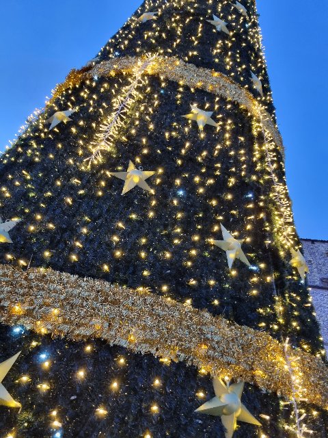 ALBERO CARPET VERDE con Fiocchi o Stelle 12 Mt Luminarie Natalizie per Piazze