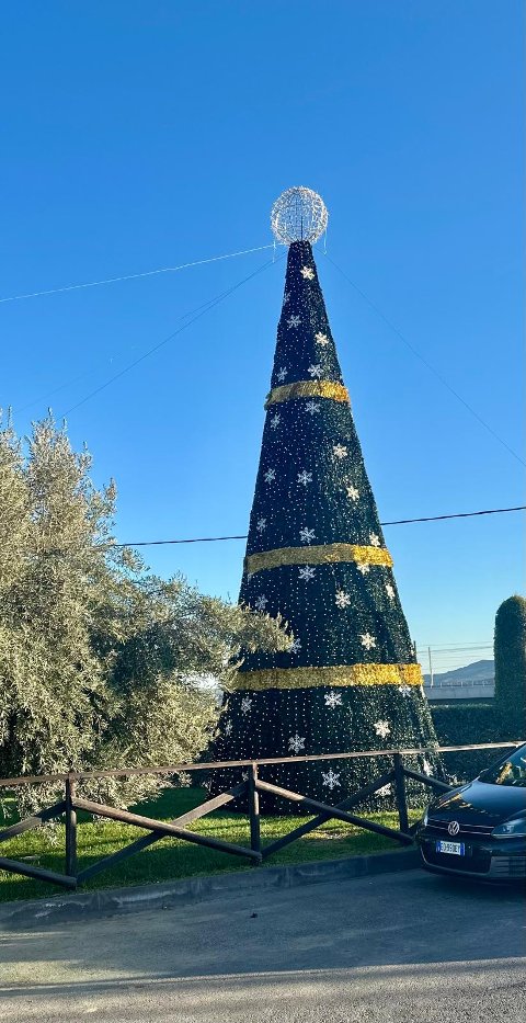 LUMINARIA COMPLETA ALBERO CARPET 12 Mt Luminarie Natalizie per Piazze