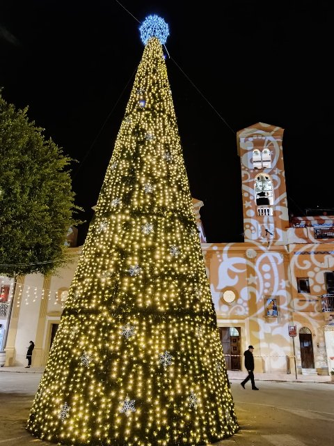 ALBERO CARPET VERDE E STELLE 3D 12 Mt Luminarie Natalizie per Piazze