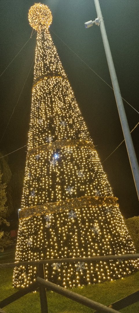 ALBERO CARPET VERDE con Fiocchi o Stelle 12 Mt Luminarie Natalizie per Piazze