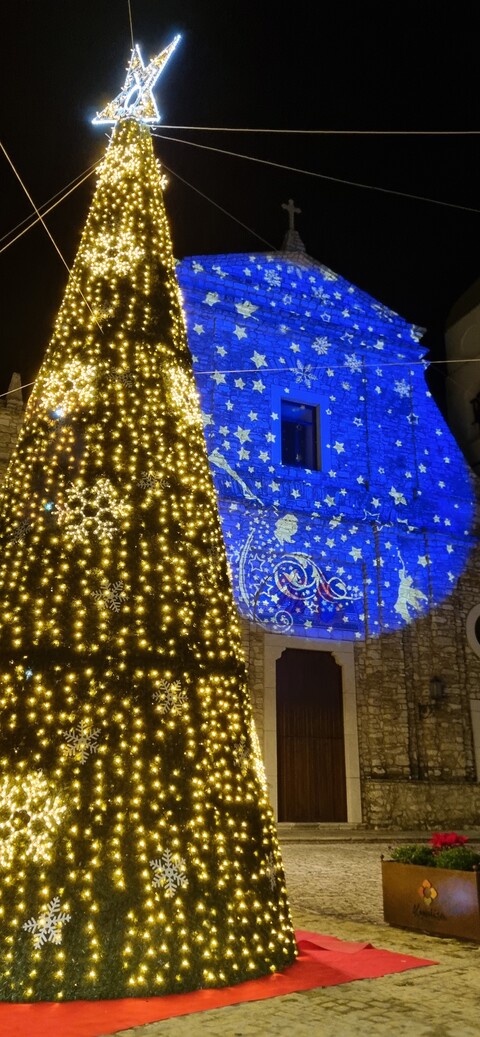 ALBERO CARPET VERDE con Fiocchi Light 10 Mt Luminarie Natalizie per Piazze