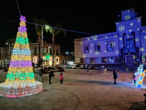 ALBERO CON FIORI LUMINARIA 7 mt Luminarie Natalizie per Piazze