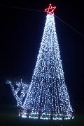 ALBERI CON STRINGHE Luminarie Natalizie per Piazze