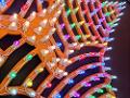 A SICILIA CU TRI JAMME Luminarie D'Arredo