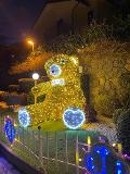 ORSO SELFIE Luminarie Natalizie per Piazze
