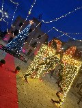 FILARE DI STRINGHE MINILUCCIOLE Luminarie Natalizie per Strade