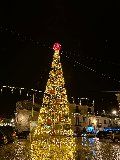 ALBERO CHAMPAGNE CON SFERE 12Mt Luminarie Natalizie per Piazze