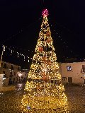 ALBERO CHAMPAGNE CON SFERE 12Mt Luminarie Natalizie per Piazze