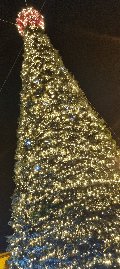 ALBERO CON GHIRLANDE VERDI 7 mt Luminarie Natalizie per Piazze