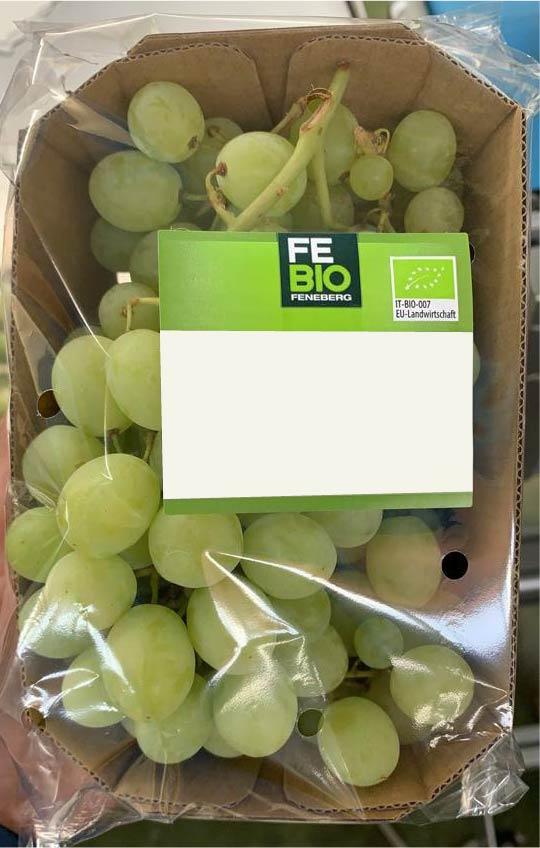 ETICHETTE TERMICHE 68 X 61 MM ANIMA 40/76