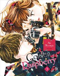 GOLDEN RASPBERRY 03 FLASHBOOK SHOJO AKI MOCHIDA
