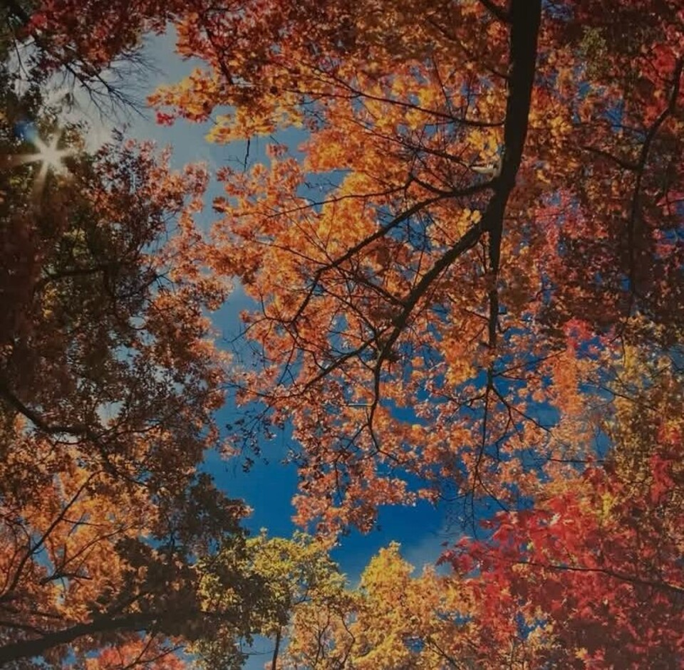 Nuovo reparto di terapia intensiva.