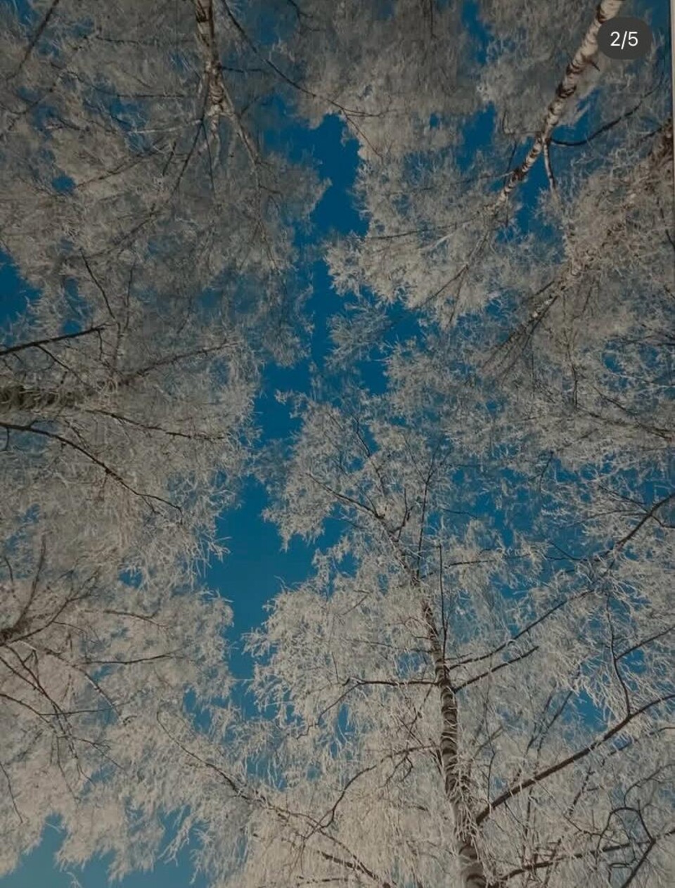 Nuovo reparto di terapia intensiva.