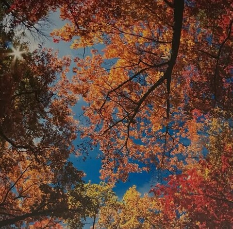 Nuovo reparto di terapia intensiva.