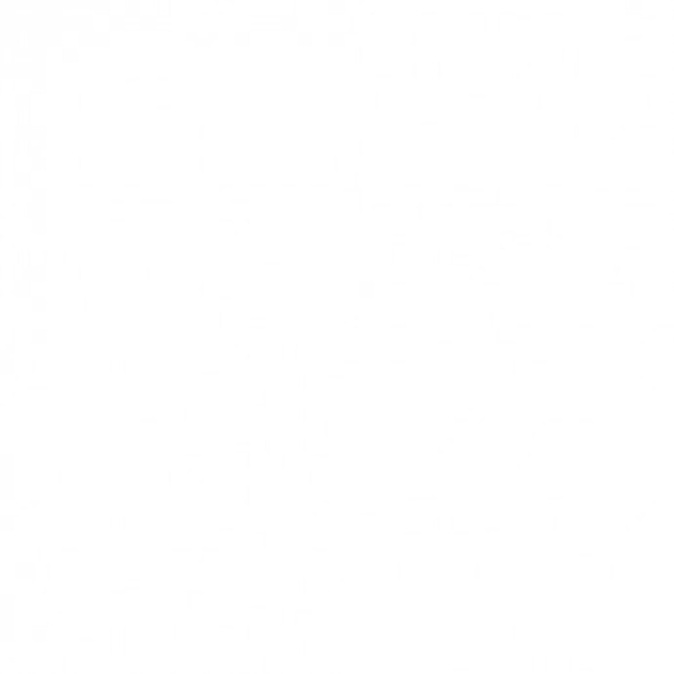 Il Team di Cartia e Chifari