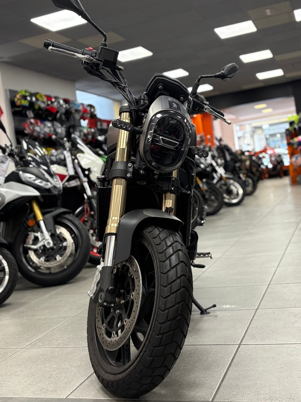 Leoncino 800 Benelli Leoncino 800