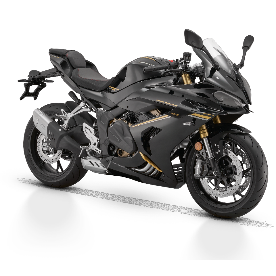 SRK 800 RR QJ Motor