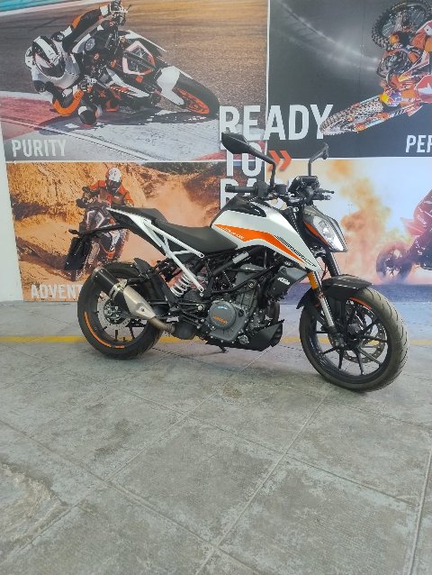 DUKE 390 KTM