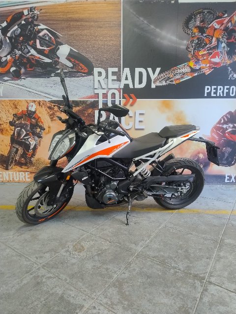 DUKE 390 KTM