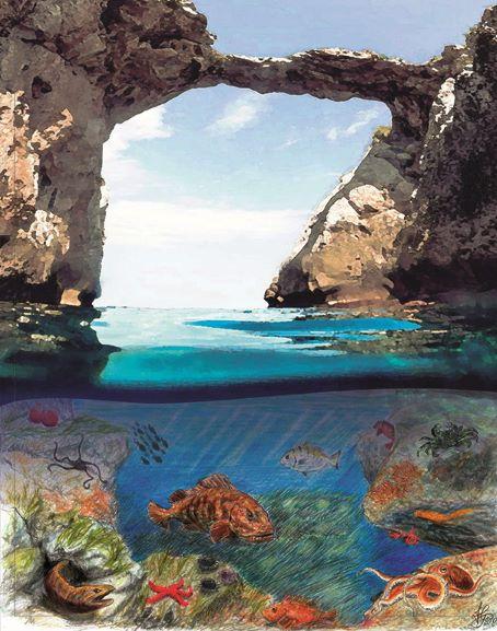 Itinerario "Il mare e la costa"