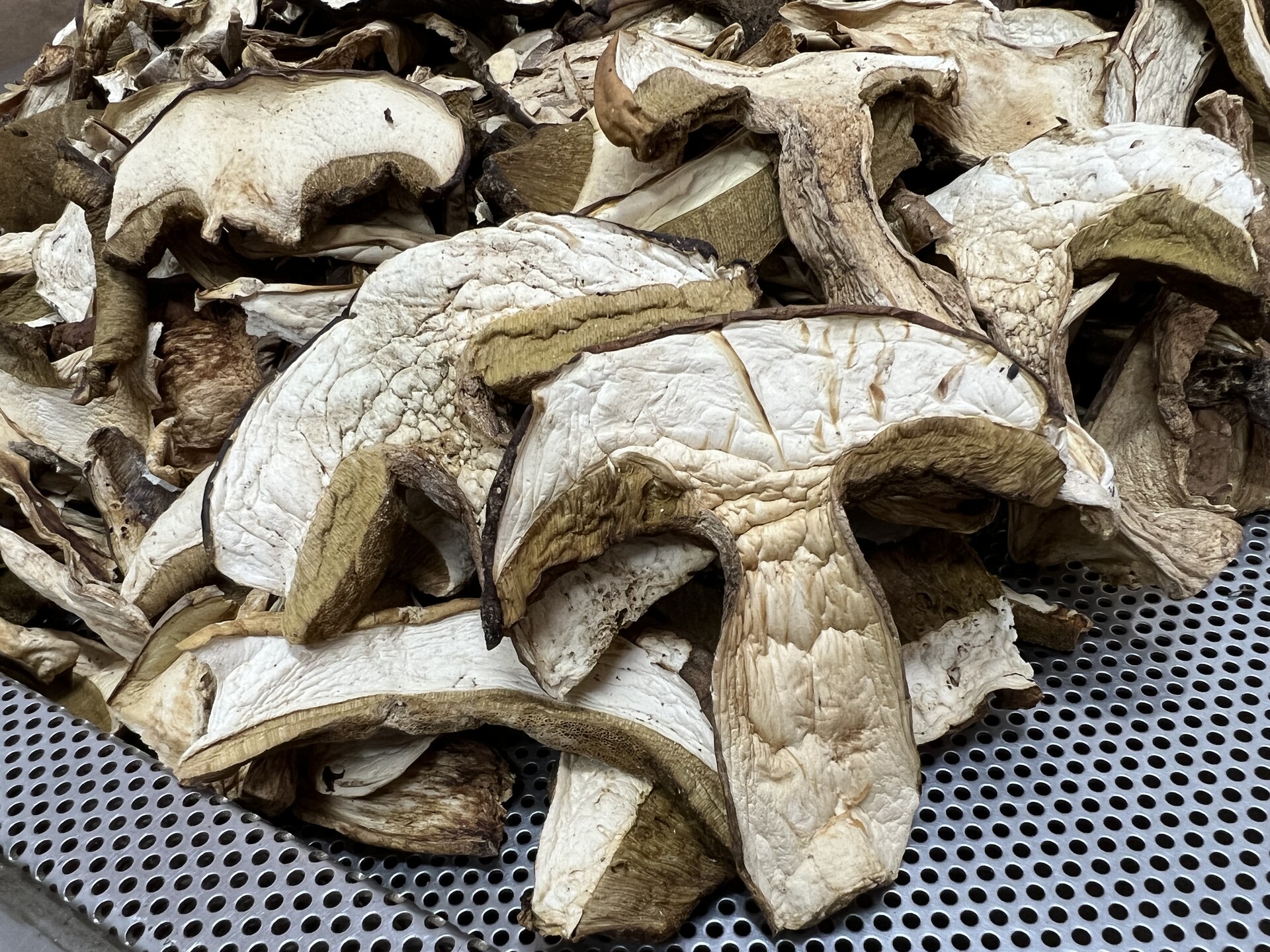 Funghi secchi porcini in busta