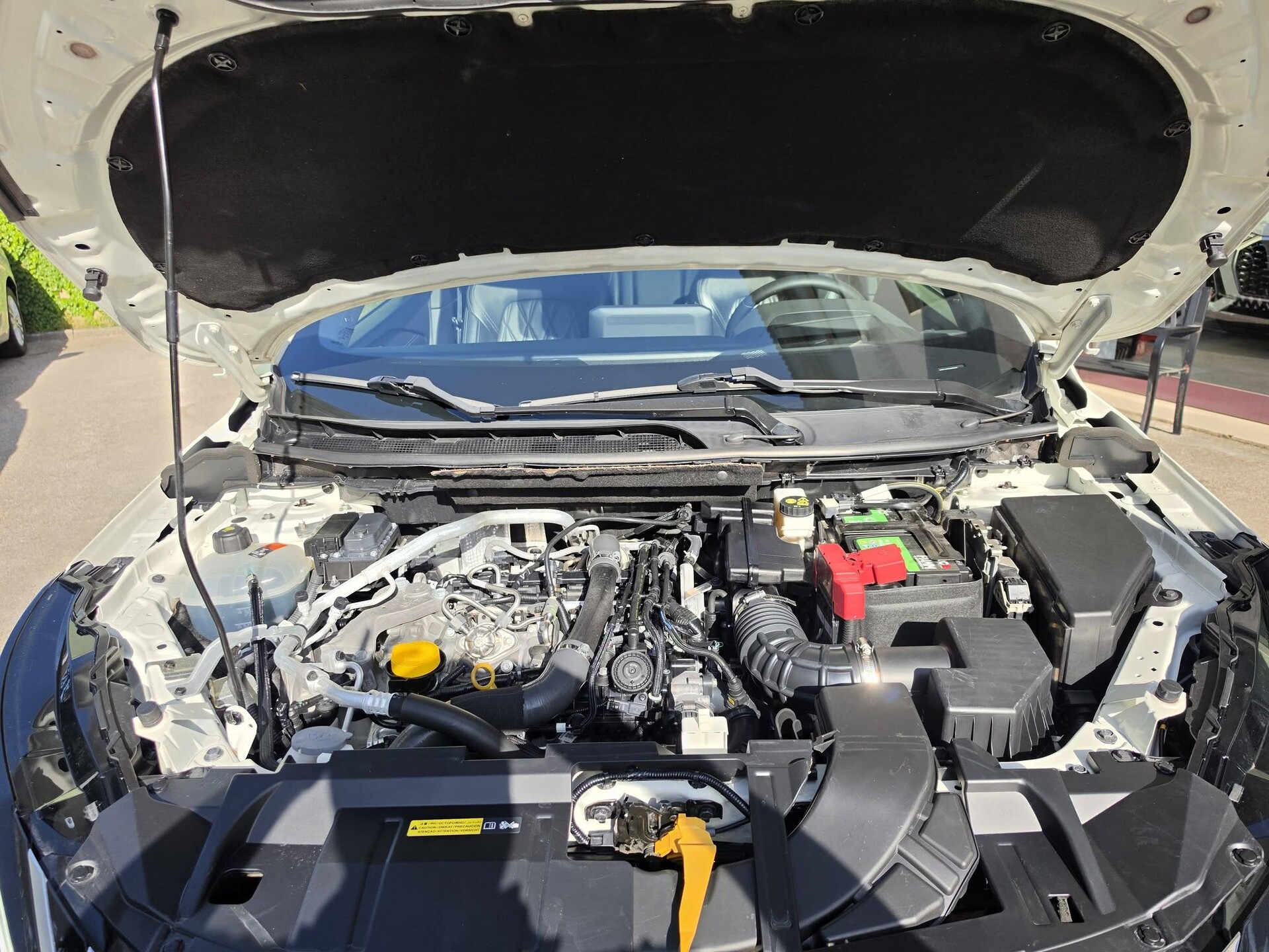 Nissan Qashqai Tekna+ Elettrica / Benzina