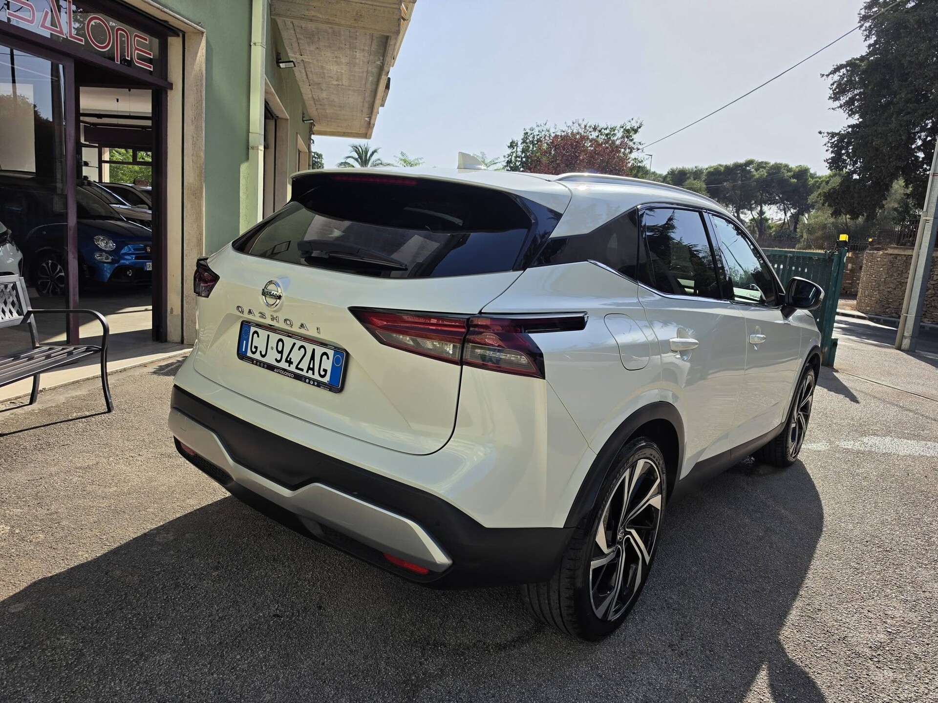 Nissan Qashqai Tekna+ Elettrica / Benzina