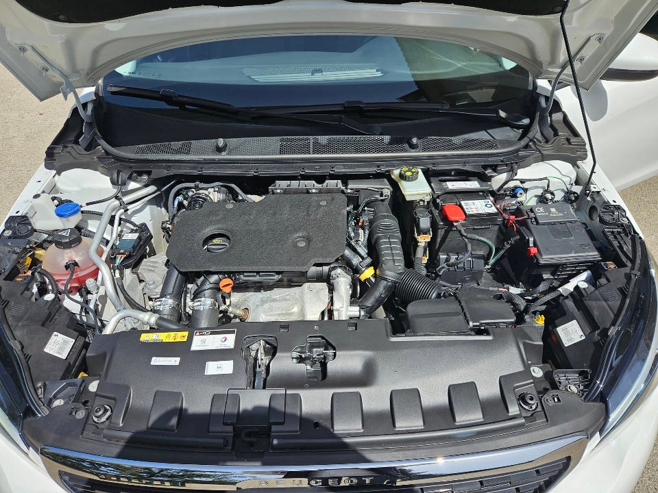 Peugeot 308 BUSINESS 130cv s&s Diesel