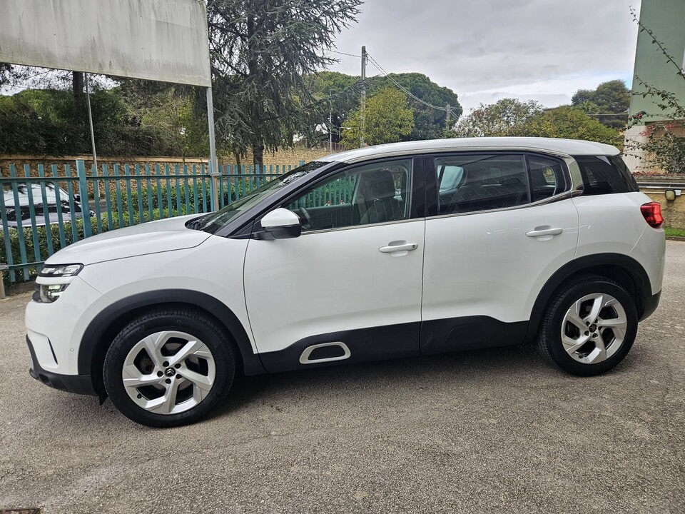 Citroen C5 BUSINESS 130cv s&s Diesel