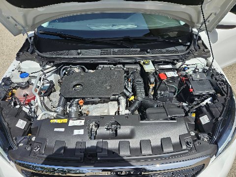 Peugeot 308 BUSINESS 130cv s&s Diesel