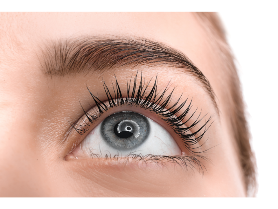 Corso di Specializzazione: Laminazione ciglia e sopracciglia