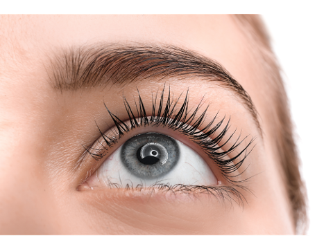 Corso di Specializzazione: Laminazione ciglia e sopracciglia
