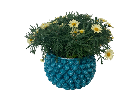 Cachepot Pigna in ceramica vari colori e misure Nino Parrucca