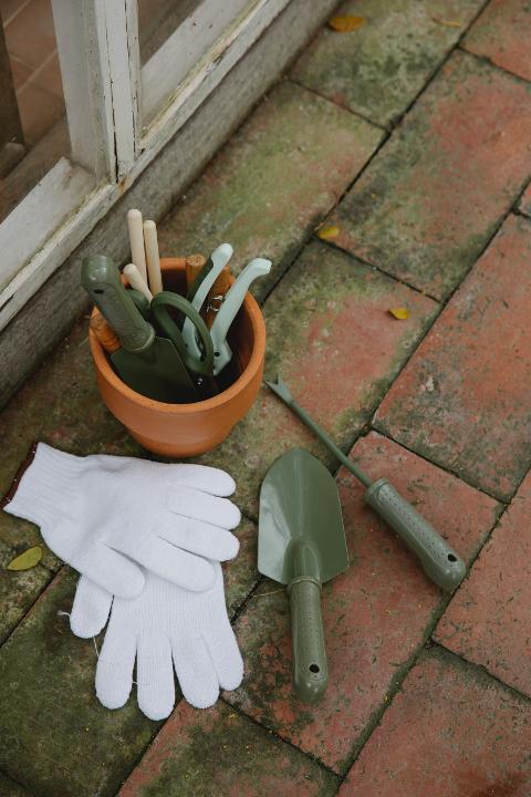 Pulizia aiuole e Giardini