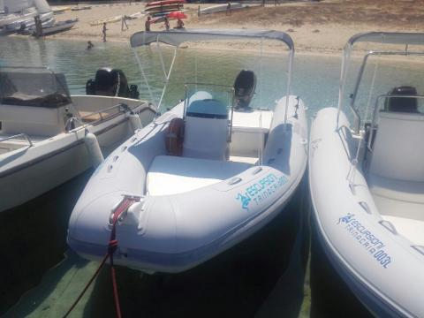 Noleggio Gommone San Vito Lo Capo: MARSHALL M100 CON EVINRUDE 40/60  2 TEMPI INIEZIONE MAX 6 PERSONE