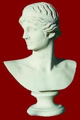 Athena M.C.G. ART. 138