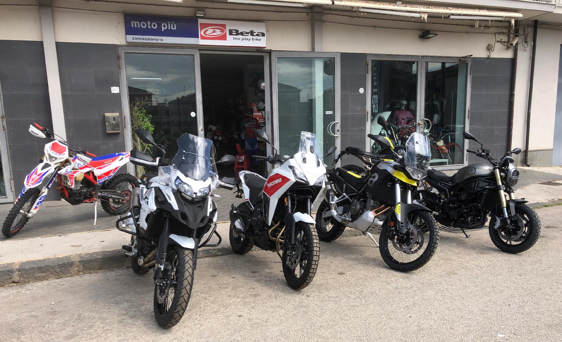 Benelli Leoncino