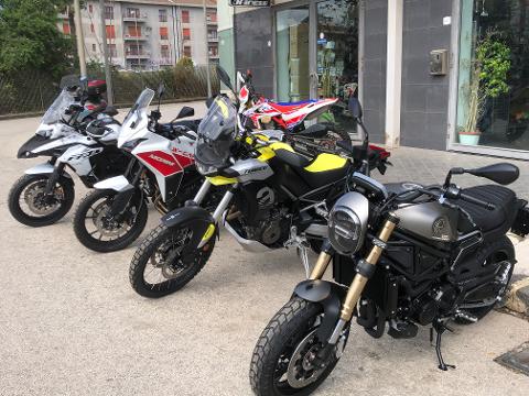 Benelli Leoncino