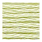 DMC MOULINE SPECIAL 25 8M Dmc