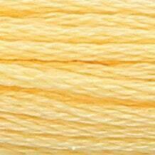 ANCHOR Pearl Cotton 8
10 Gr. Anchor